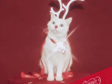 fromis_9 – White Memories