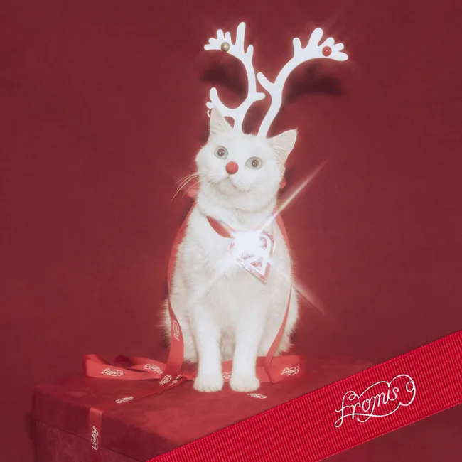 fromis_9 – White Memories fromis_9 – White Memories