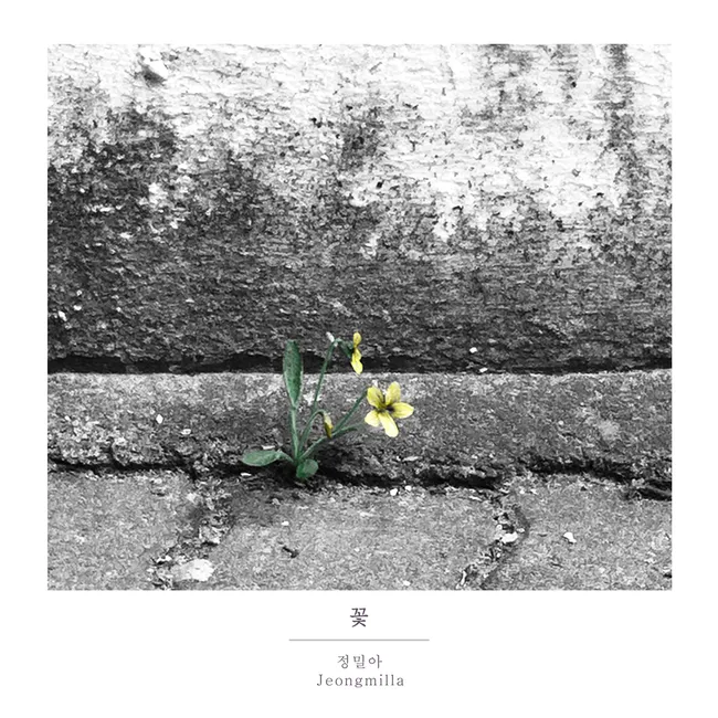 JEONGMILLA – Flower JEONGMILLA – Flower
