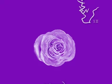 Boohwal – Purple Wave