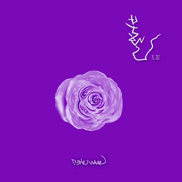 Boohwal – Purple Wave Boohwal – Purple Wave