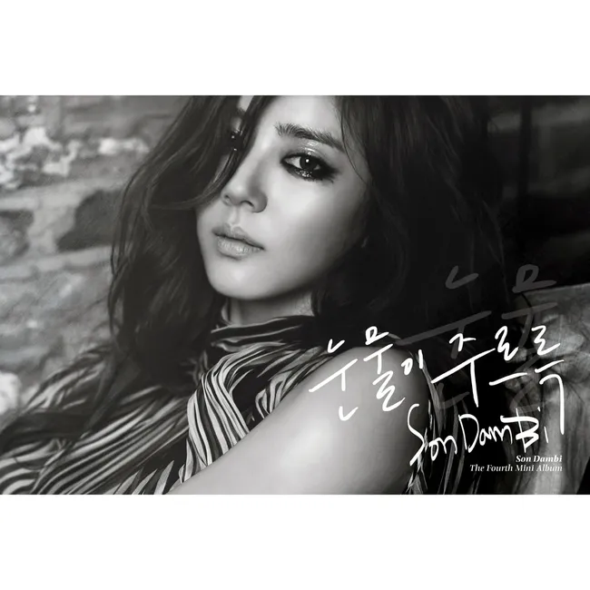Son Dam Bi – Dripping Tears Son Dam Bi – Dripping Tears