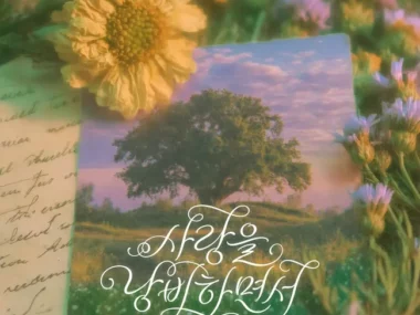 Sweden Laundry – Wasting Love