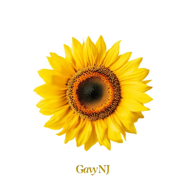 Gavy N.J. – The Gavy NJ : II Gavy N.J. – The Gavy NJ : II