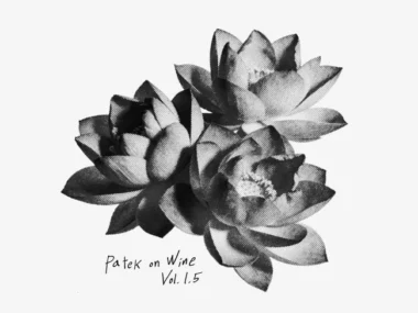 PATEKO, kid wine – Patek on Wine Vol. 1.5