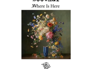 Boohwal – Where Is Here