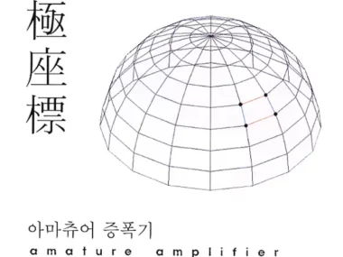 Amature Amplifier – Polar Coordinates