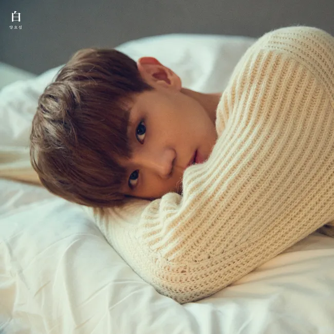 YANG YO SEOP – White YANG YO SEOP – White