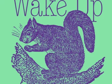 9 and the Numbers – Wake Up