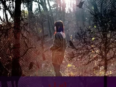 Nabi – Nabi