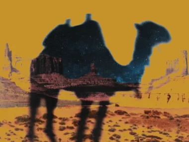 LUAMEL – LUAMEL