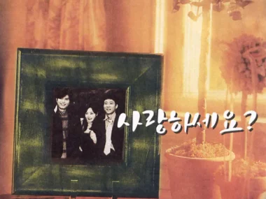 V.A. –  Did You Ever Love? OST
