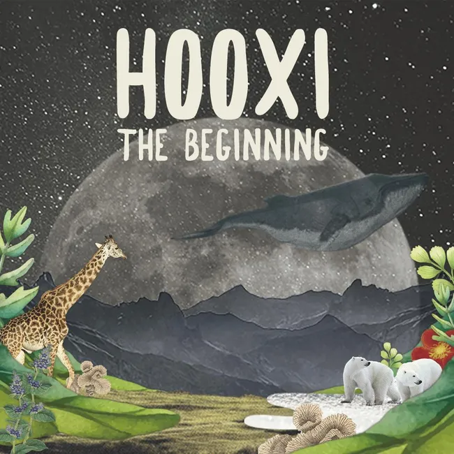 V.A. – Hooxi, the Beginning V.A. – Hooxi, the Beginning