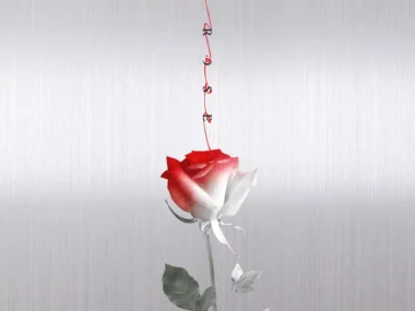 B.A.P – ROSE