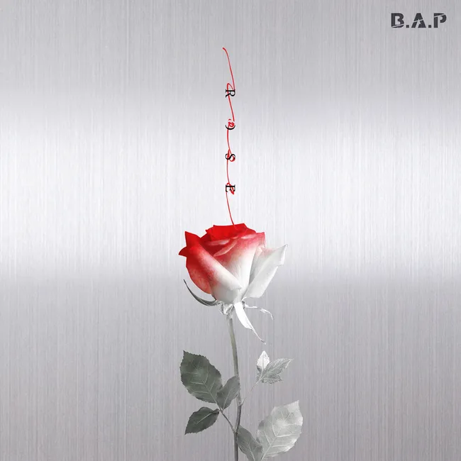 B.A.P – ROSE B.A.P – ROSE
