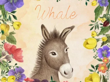 Whale – Donkey