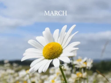 BMK – March
