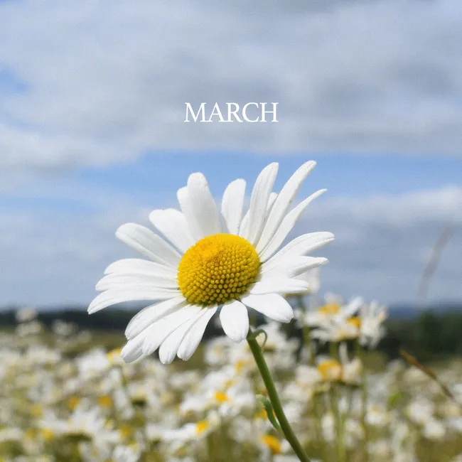 BMK – March