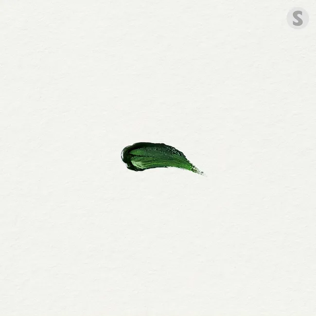 Choi Yu Ree – Forest (Japanese Ver.) Choi Yu Ree – Forest (Japanese Ver.)