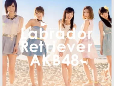 AKB48 – Labrador Retriever