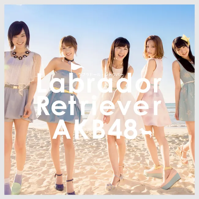 AKB48 – Labrador Retriever AKB48 – Labrador Retriever