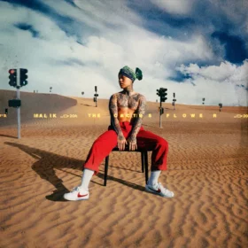 DON MALIK – MALIK THE CACTUS FLOWER