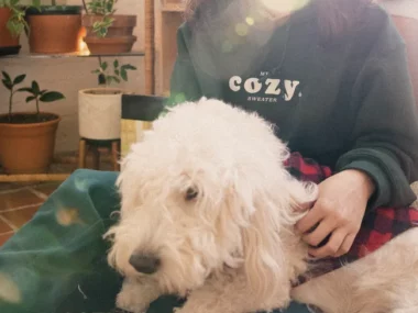 Uzuhan – Cozy