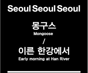 Mongoose – Early Morning at Han River