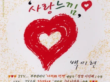 Baek Mi Hyun – Feeling of Love (Remake Album)