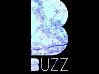 Buzz – Love song