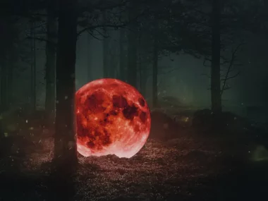 MAKTUB – Red Moon: The Piano Forest