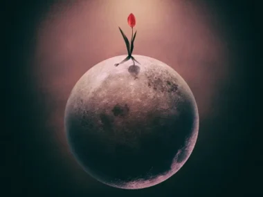 MAKTUB – Red Moon : The Flower