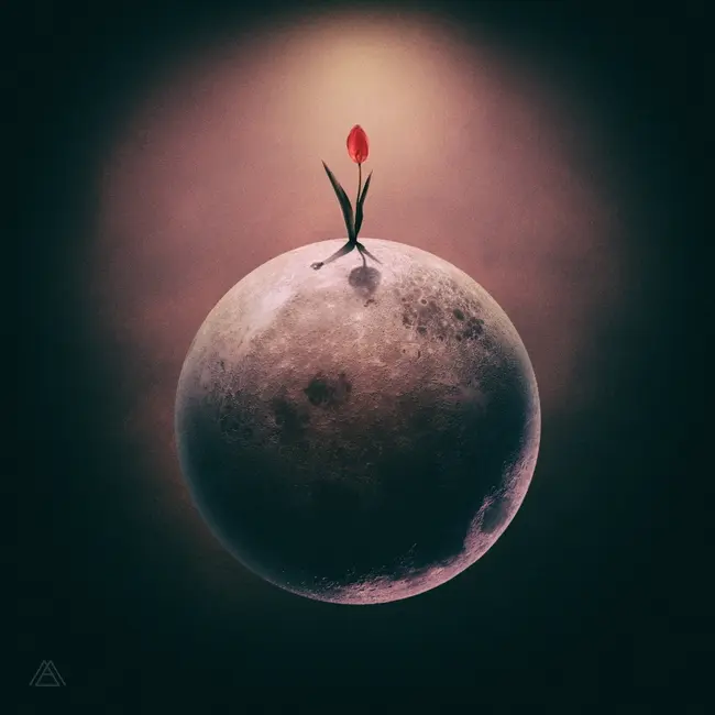 MAKTUB – Red Moon : The Flower MAKTUB – Red Moon : The Flower