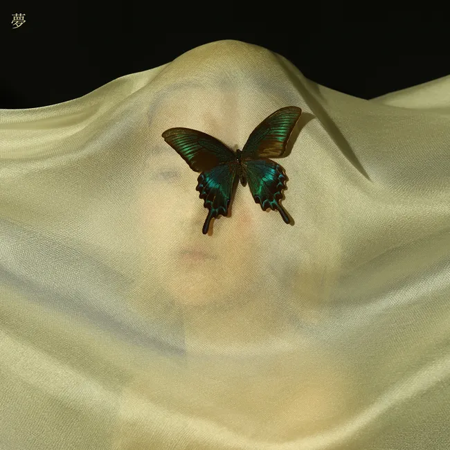cacophony – Dream cacophony – Dream