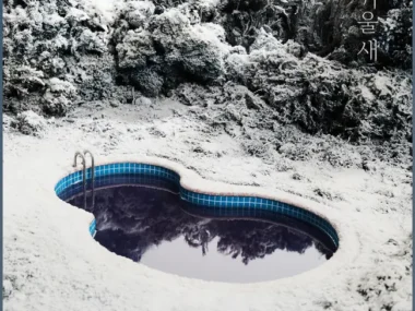 SURAN – Winter Bird
