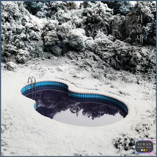 SURAN – Winter Bird
