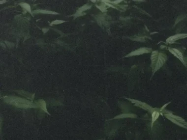 KYUL – Far