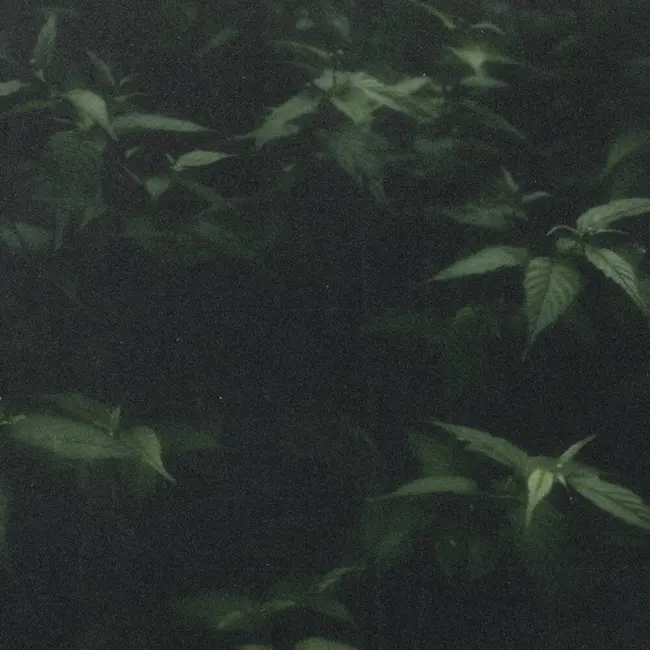 KYUL – Far