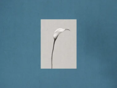 Choi Yu Ree – Stay: Two