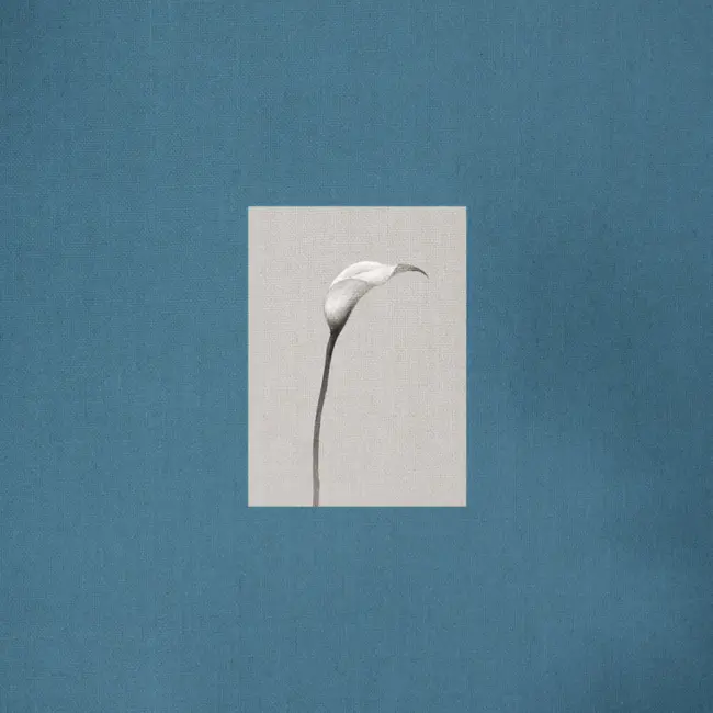 Choi Yu Ree – Stay: Two Choi Yu Ree – Stay: Two