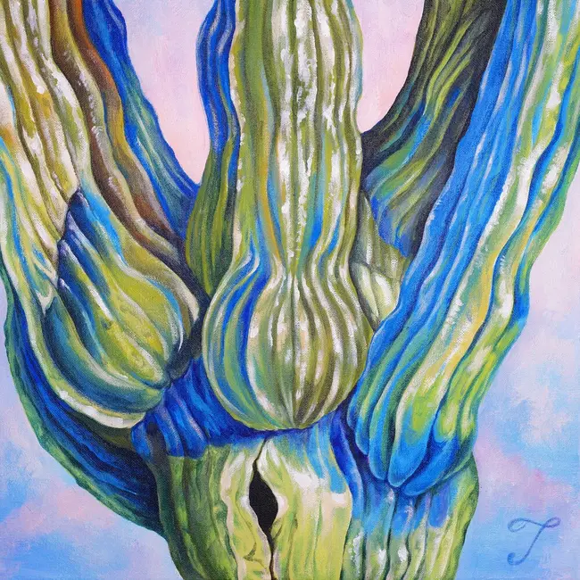 TRADE L – BABY CACTUS TRADE L – BABY CACTUS