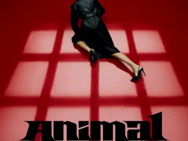 KATSEYE – Animal